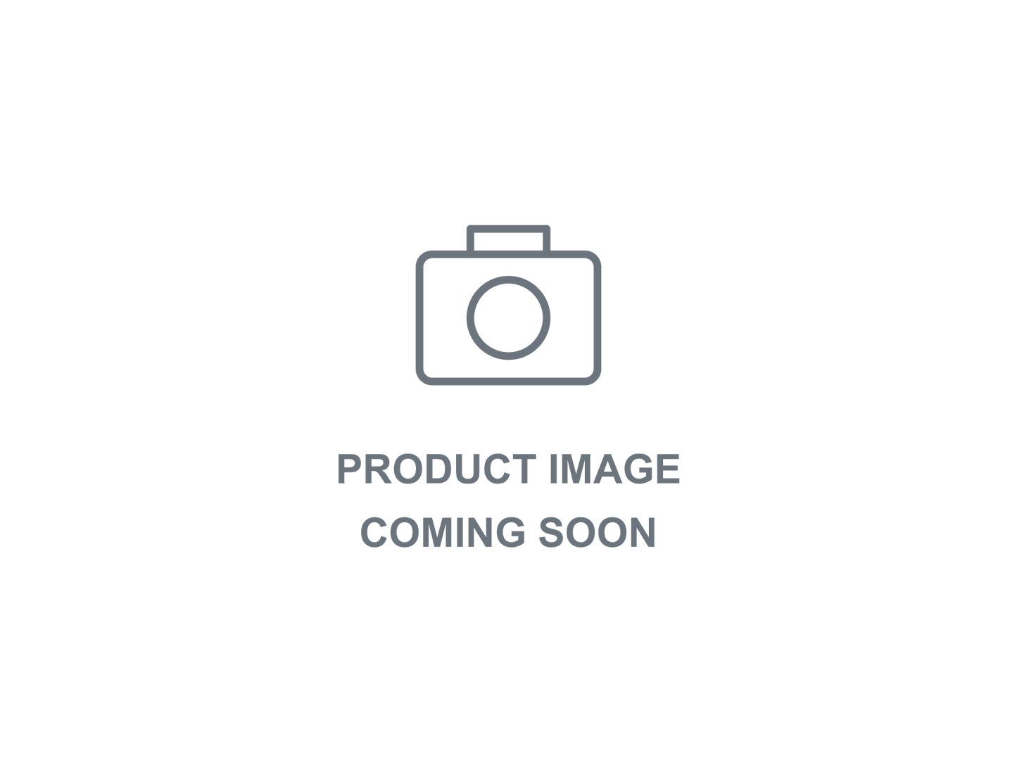 Carbonation Stone 20mm x 300mm TRI-CLAMP