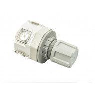 1/2" G Regulator with Gauge