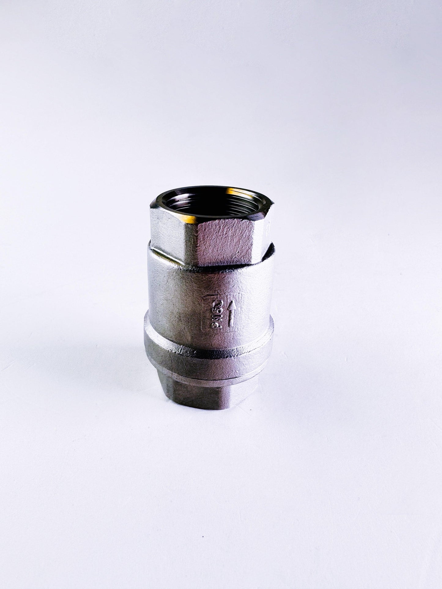 Vertical Spring Check Valve