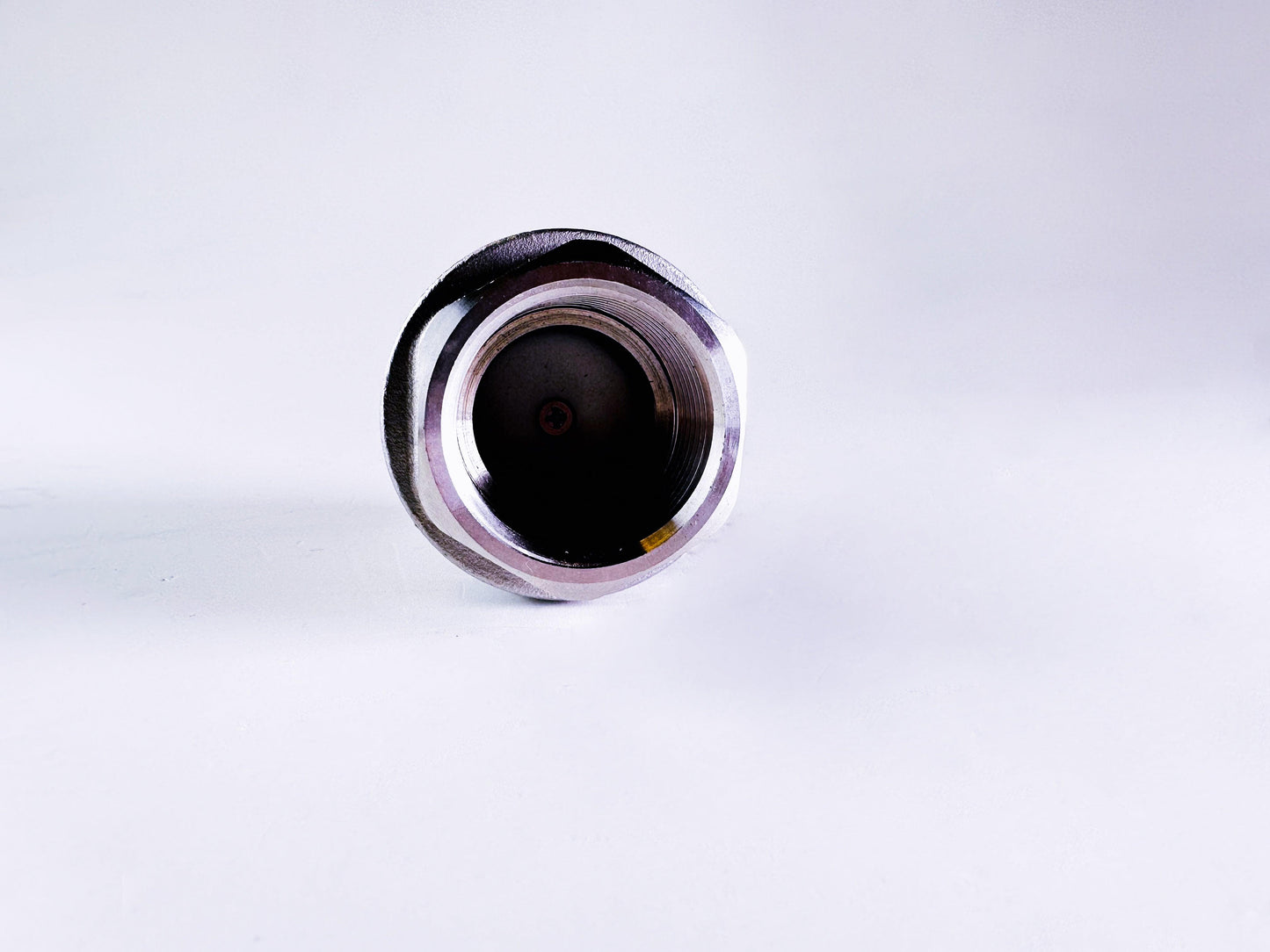 Vertical Spring Check Valve